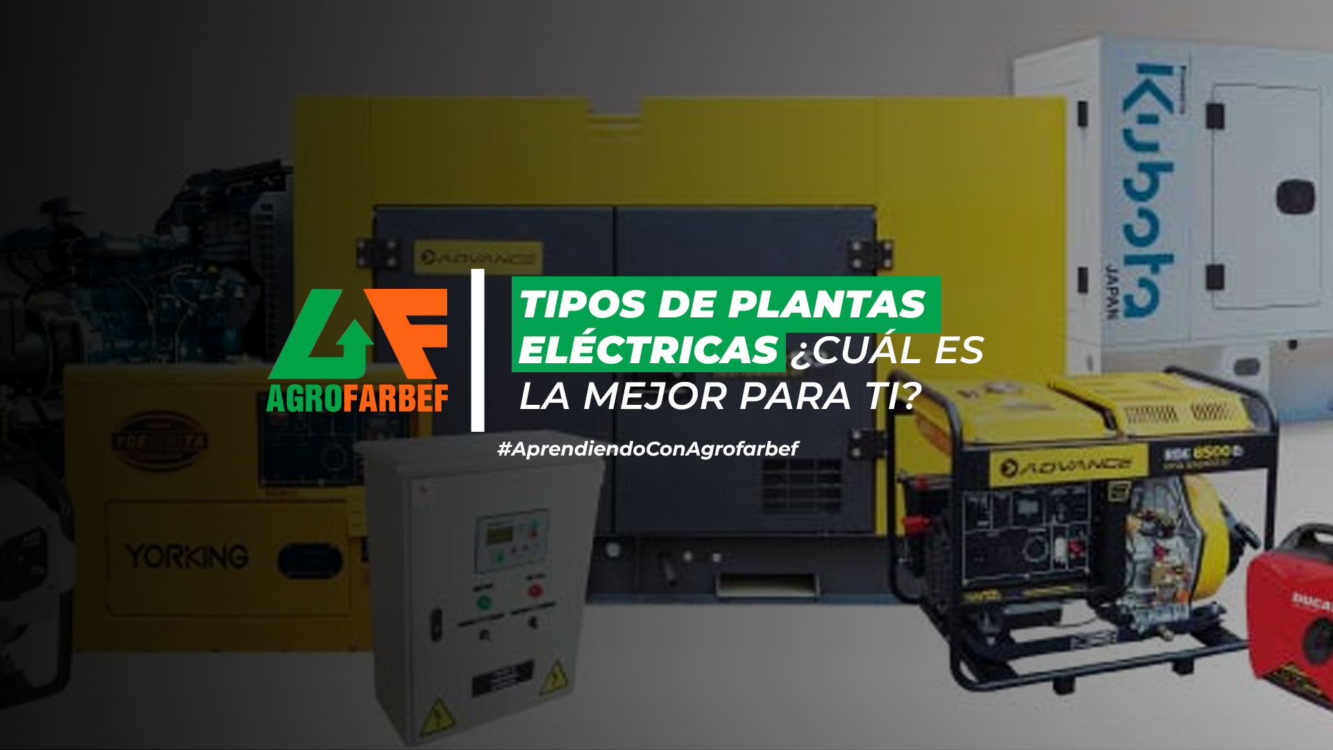 Tipos de Plantas Eléctricas ¿Cuál es la Mejor para Ti?