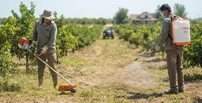 agricola y jardineria agrofarbef